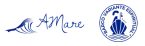 Amare Turismo Náutico